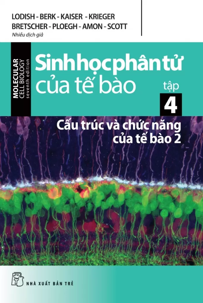 SINH HỌC PHÂN TỬ CỦA TẾ BÀO 04 - CẤU TRÚC VÀ CHỨC NĂNG CỦA TẾ BÀO 2